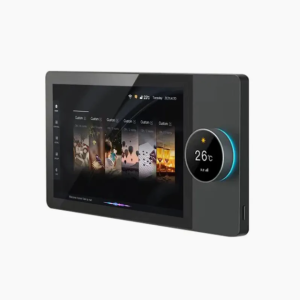 10 Inch Touch Smart Voice Control Panel